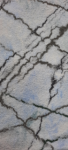 img6_80758.png